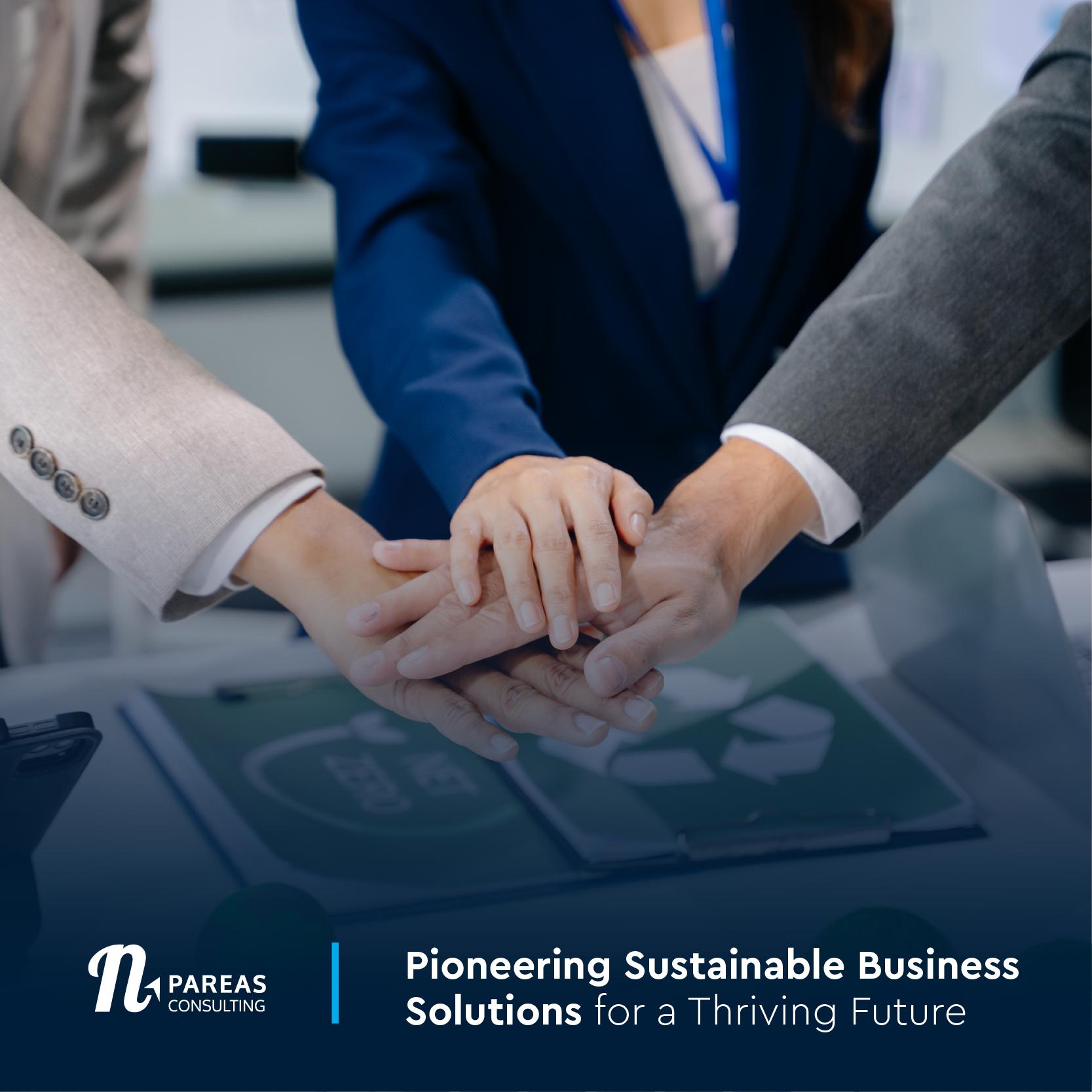 N.Pareas Consulting Pioneering Sustainable Business Solutions for a Thriving Future